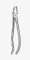TOOTH FORCEPS BLADE BEAKS N.17