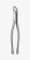 TOOTH FORCEPS AMERICAN N.203
