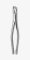 TOOTH FORCEPS AMERICAN N.222