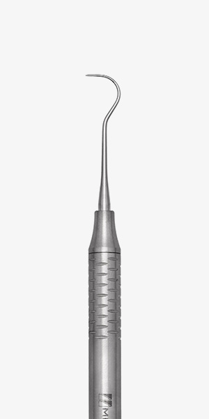 ANATOMIC EXPLORER N.2
