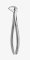 TOOTH FORCEPS N.137