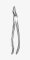 TOOTH FORCEPS BLADE BEAKS N.51