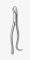 TOOTH FORCEPS AMERICAN N.210