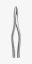 TOOTH FORCEPS AMERICAN N. 1