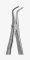 TOOTH FORCEPS BLADE BEAKS N.187