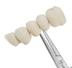 Medesy 1580 - Kliešte na držanie koruniek