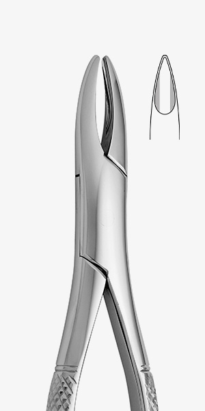 TOOTH FORCEPS AMERICAN N. 1