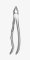TOOTH FORCEPS BLADE BEAKS N.34-N