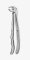 TOOTH FORCEPS BLADE BEAKS N.13