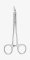 FORCEP STIEGLITZ CURVED